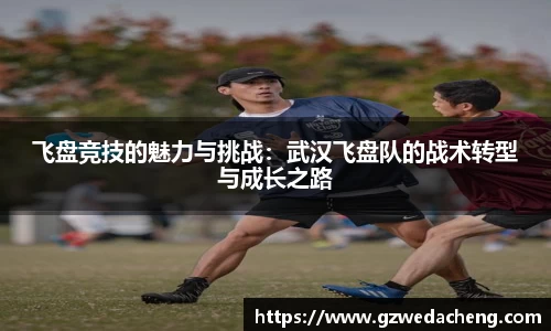 飞盘竞技的魅力与挑战：武汉飞盘队的战术转型与成长之路